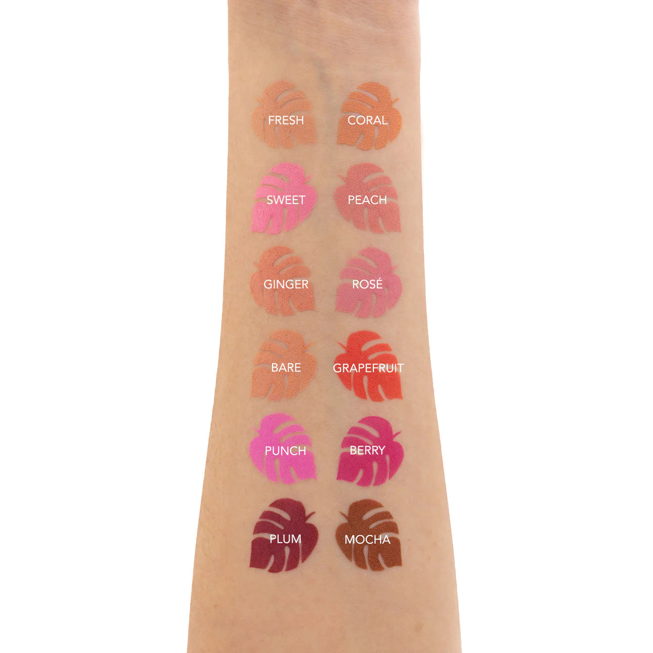 AMORUS USA Flush Powder Blush | Rose