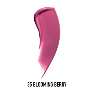 Max Factor Color Elixir Lip Gloss - 70 Blooming Berry
